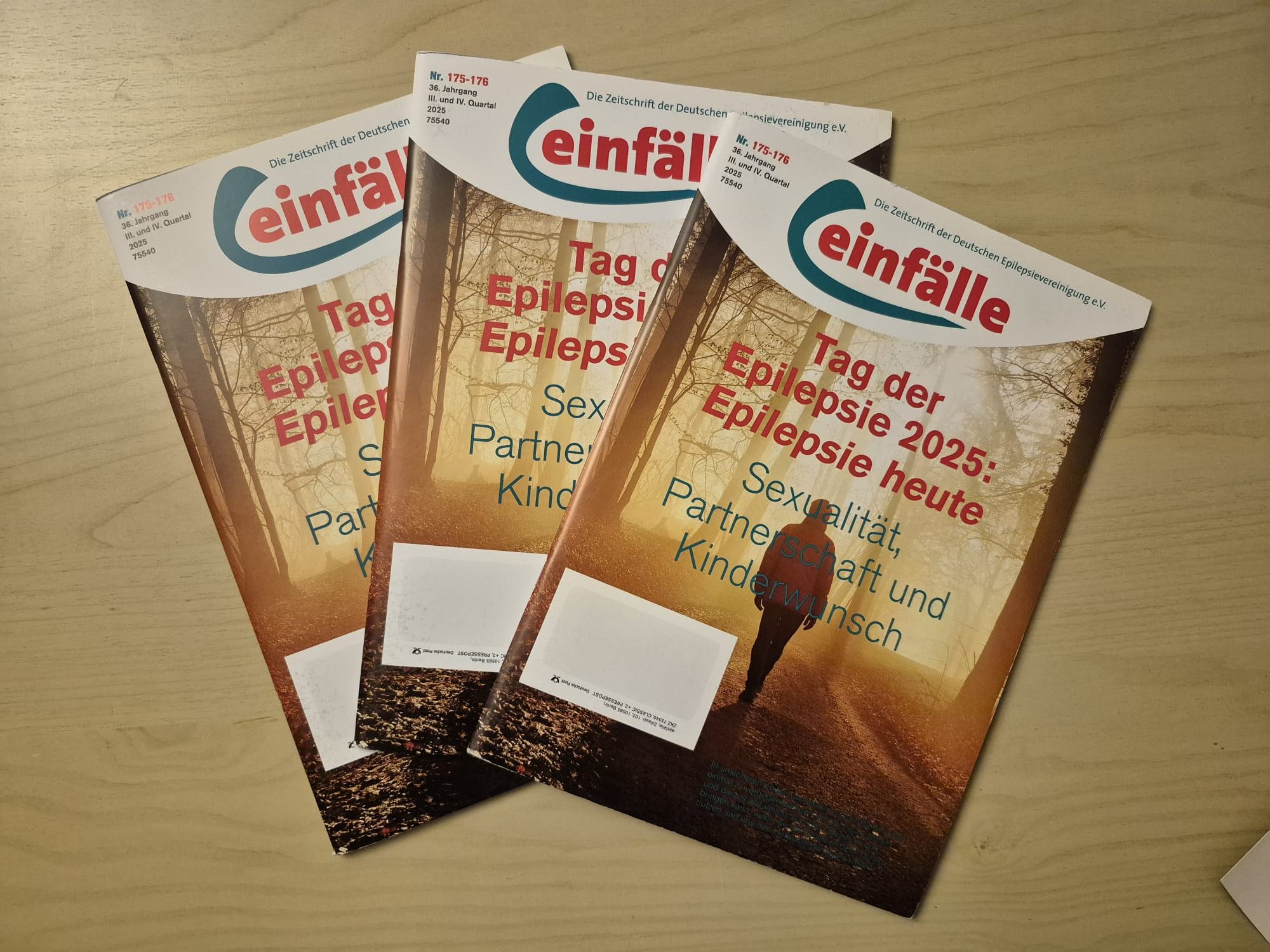 Foto von drei Ausgaben der "einfälle"